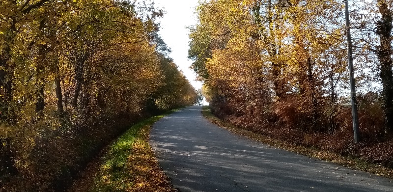 Voirie – Curage des fossés (Planning 2022)