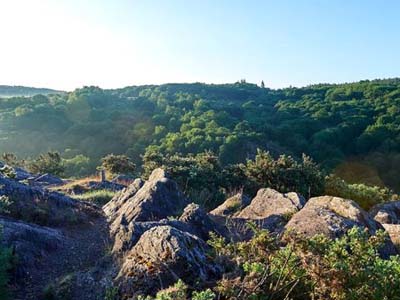 Paysages et patrimoine en Brocéliande