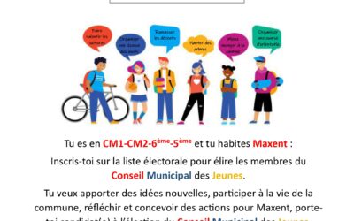 ELECTION DU CONSEIL MUNICIPAL DES JEUNES